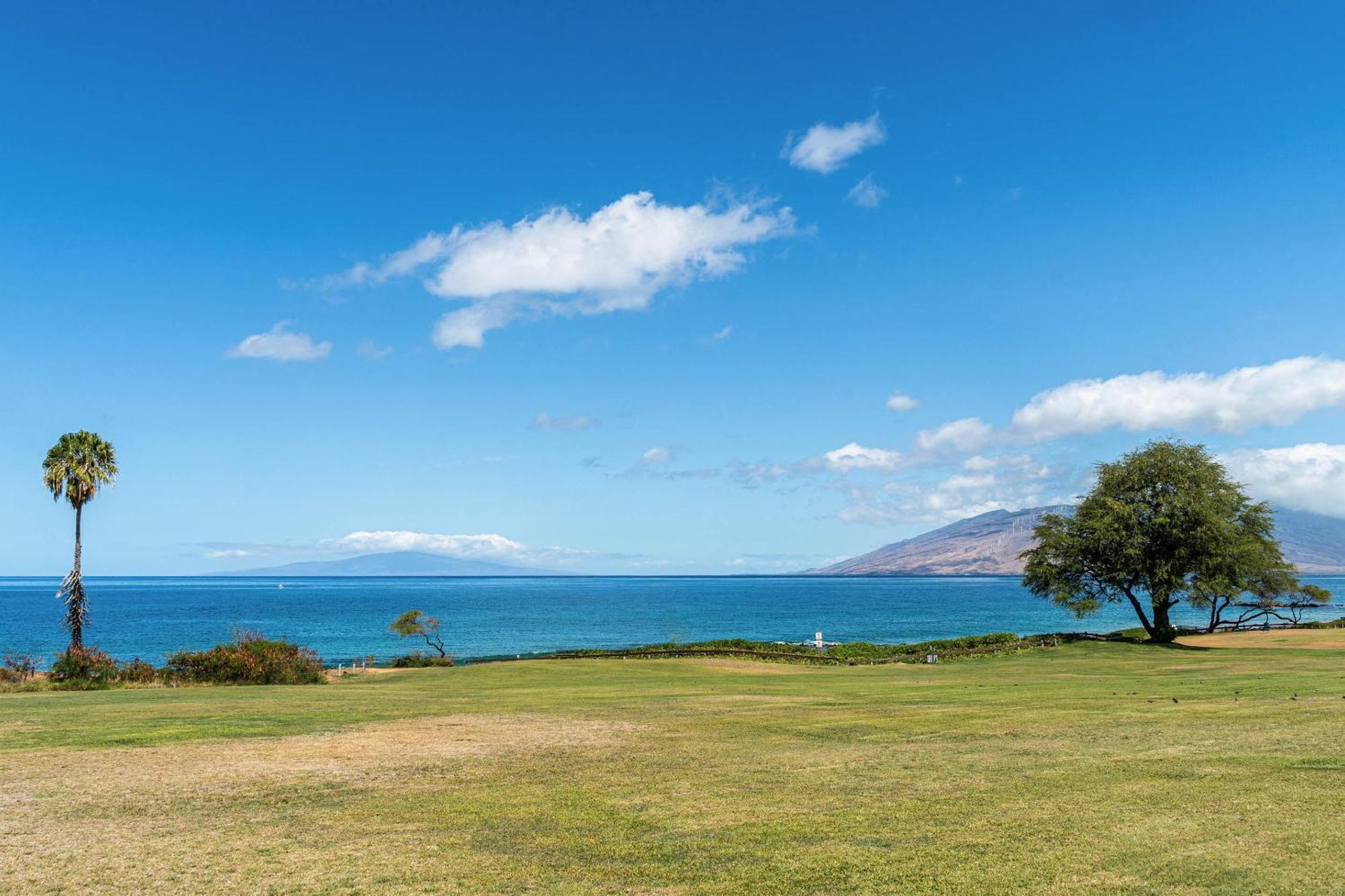 Maui Kamaole H-101 Apartment Wailea  Exterior photo